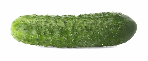 One whole fresh cucumber isolated on white