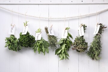 Bunches of different aromatic herbs and notes with names hanging on rope near white wooden wall