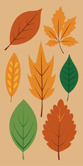 Obraz premium A collection of colorful autumn leaves, perfect for adding a touch of warmth and nature to your designs. These leaves are ideal for fall-themed projects, invitations.