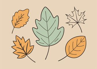  Set of five hand-drawn autumn leaves in various shapes and colors, perfect for adding a touch of nature and warmth to your fall-themed projects. This whimsical set features a maple leaf, oak leaf.