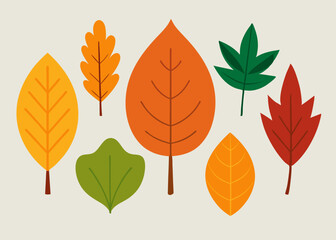  A collection of autumn leaves in various shapes and colors, perfect for adding a touch of fall to your designs.  These illustrations are ideal for seasonal projects, crafts.