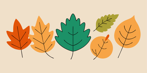  A collection of autumn leaves in various shapes and colors. Perfect for adding a touch of fall to your designs, these leaves are great for greeting cards, invitations, and more.