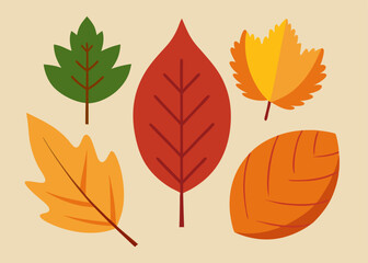 Obraz premium A set of five autumn leaves in various colors and shapes, perfect for adding a touch of fall to your designs. These illustrations are ideal for seasonal projects, greeting cards.