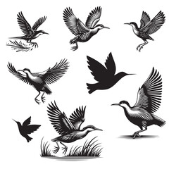  King Rail Bird Poses: Flying, Sitting, and Walking in Their Natural Habitat