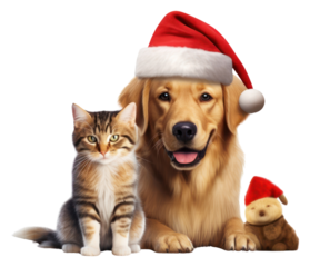 PNG Dog christmas mammal animal.