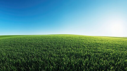 Obraz premium A wide field of lush green grass under a clear blue sky, with gentle rolling hills and ample copy space, perfect for themes of nature and tranquility.