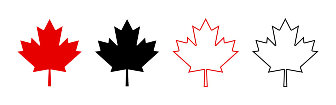 Maple leaf icon set