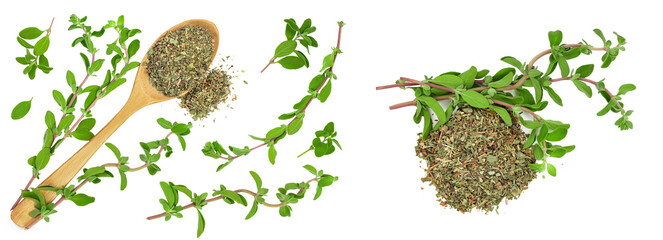 Oregano or marjoram leaves fresh and dry isolated on white background . Top view. Flat lay