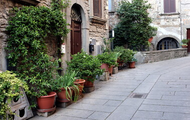 Naklejka premium Malerische Gasse mit Blumenkübeln in Bagnaia