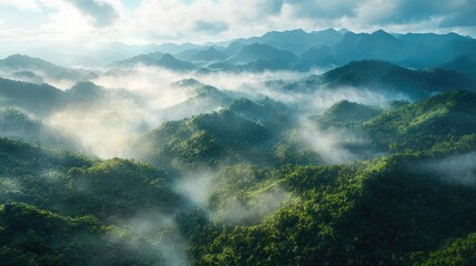 Obraz premium An aerial view of a mountain range covered in dense forest, with mist rising from the valleys and peaks piercing through the clouds.