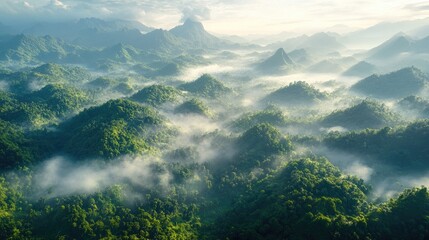 An aerial view of a mountain range covered in dense forest, with mist rising from the valleys and peaks piercing through the clouds.