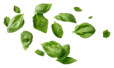 PNG  Levitating basil leaves food backgrounds vegetable.