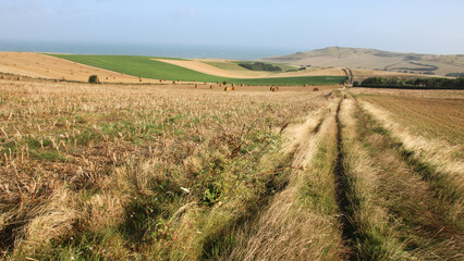 Parc naturel régional des Caps et Marais d'Opale: vallons et champs du site des Deux-Caps dans le...
