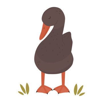 recommend clip art: Cute hand drawn cartoon character brown duck vector illustration isolated on white background