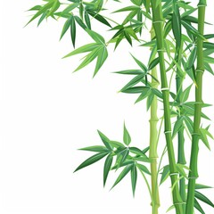 Naklejka premium Green bamboo, vector illustration, isolated on white background. Fresh natural organic banner