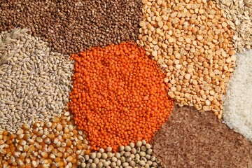 Different types of legumes and cereals as background, top view