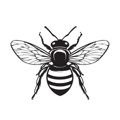 Bee in cartoon, doodle style . Image for t-shirt, web, mobile apps and ui. Isolated 2d vector illustration in logo, icon, sketch style, Eps 10, black and white. AI Generative