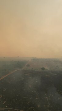 Apu&iacute;, Amazonas: Imagens A&eacute;reas Exclusivas das Queimadas que Lideram o Desmatamento na Amaz&ocirc;nia em 2024 &ndash; Capturadas por Drones, Revelando a Devasta&ccedil;&atilde;o e Impactos Ambientais