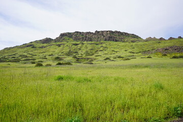 Obraz premium A Green Mountain Side 