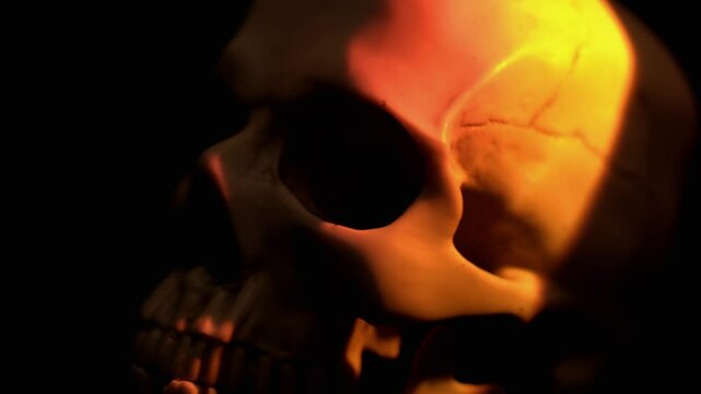 &Eta;uman skull from morgue autopsy schoo