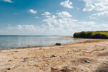 Panorama of a dried-up lake on a sunny summer day. Concept of the problem of climate change,...