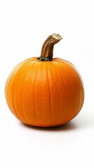 Obraz premium pumpkin on white background.