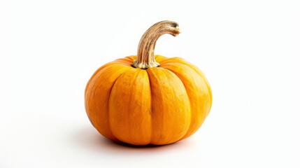 Obraz premium pumpkin on white background.
