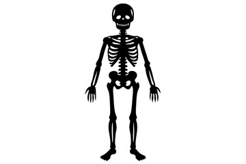 Ballet. Five dancing black silhouettes of skeletons isolated on a white background. Vector illustration