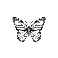 Butterfly in cartoon, doodle style . Image for t-shirt, web, mobile apps and ui. Isolated 2d vector illustration in logo, icon, sketch style, Eps 10, black and white. AI Generative