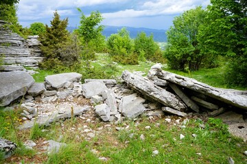 Smooth, curved and rough rock formations surrounded by thick green shrubs and trees in the stone forest the vikos gorge in greece, stone garden