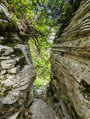Smooth, curved and rough rock formations surrounded by thick green shrubs and trees in the stone forest the vikos gorge in greece, stone garden