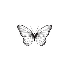 Butterfly in cartoon, doodle style . Image for t-shirt, web, mobile apps and ui. Isolated 2d vector illustration in logo, icon, sketch style, Eps 10, black and white. AI Generative