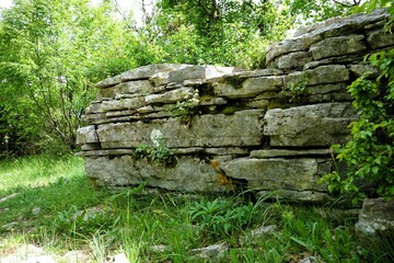 Smooth, curved and rough rock formations surrounded by thick green shrubs and trees in the stone forest the vikos gorge in greece, stone garden
