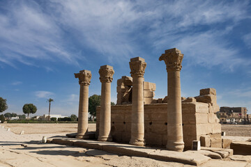 Fototapeta premium Roman columns in front of the temple complex of Hathor . Dendera . Egypt. 