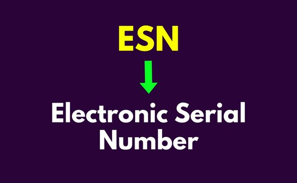 ESN Meaning, Electronic Serial Number