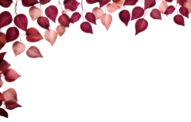 PNG Border of leaves backgrounds petal plant.