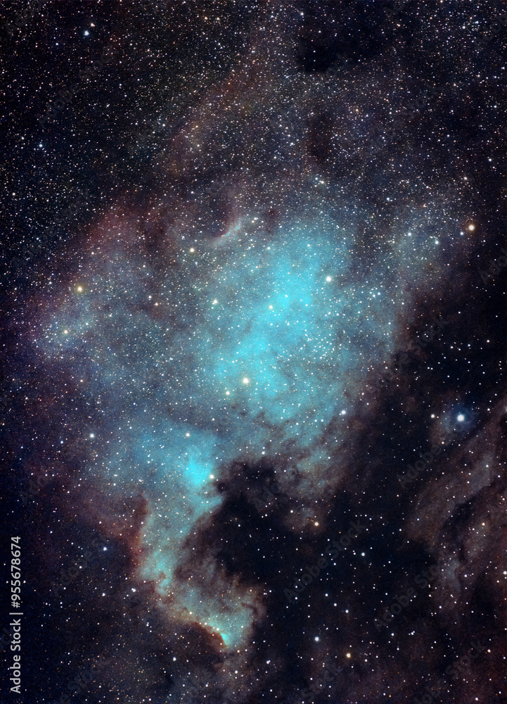 Wall mural north america nebula. the north america nebula (ngc 7000 or caldwell 20) is an emission nebula in th