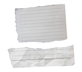 Two piece of ripped torn lined paper on transparent background, paper cut out design elements