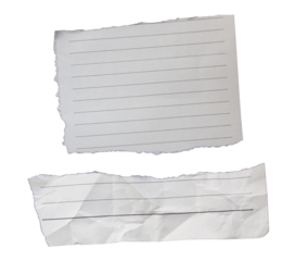 Two piece of ripped torn lined paper on transparent background, paper cut out design elements
