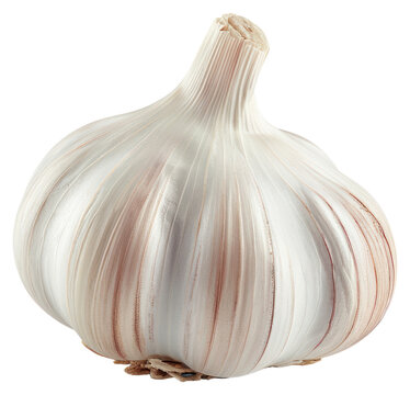 PNG Photo of a garlic clove vegetable produce plant.
