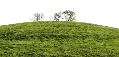 Fototapeta premium PNG Lush green hill with trees