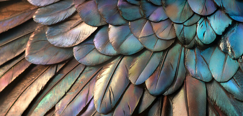 Fototapeta premium Wing texture showcasing intricate patterns focus on details elegant display of nature's artistry concept
