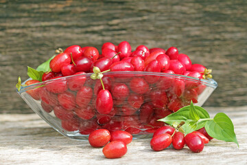 cornelian cherry, wild fruit into glass bowl