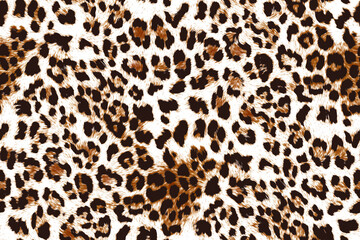leopard pattern seamless fashionable design for print clothes, paper, fabric. leopard spots