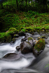 Obraz premium 秋の始まり9月