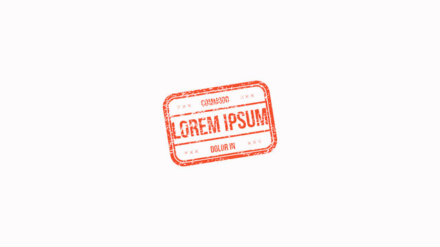 Visa Stamp