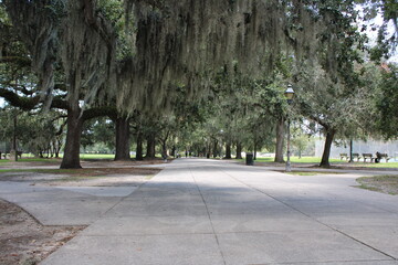 path in the park