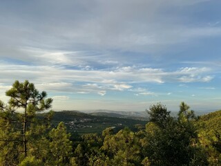 Obraz premium clouds over the forest
