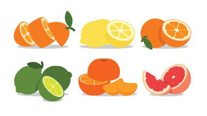 A set of halved Split Citrus fruits, Lemon, Orange, Kumquat, Grapefruit, Sweet lime, Green lemon, Tangerine, Mandarin, simple flat vector illustration.