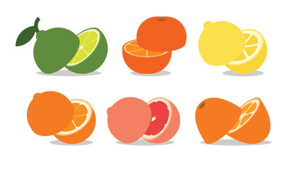 A set of halved Split Citrus fruits, Lemon, Orange, Kumquat, Grapefruit, Sweet lime, Green lemon, Tangerine, Mandarin, simple flat vector illustration.